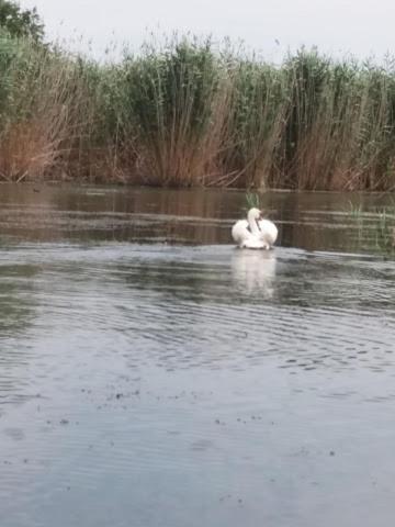 Constantin Si Elena Hotel Dunavăţu de Jos Zewnętrze zdjęcie